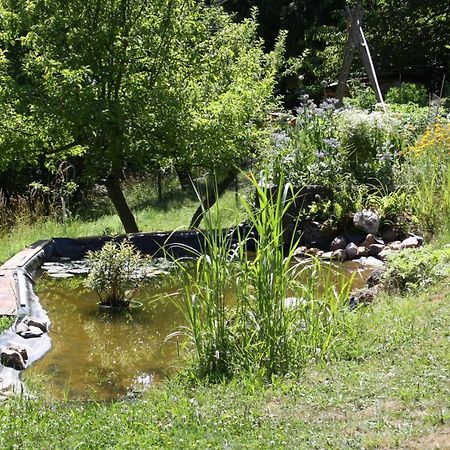 Ferienhaus "Am Schleifenbach" Saalfeld Saale Exteriör bild