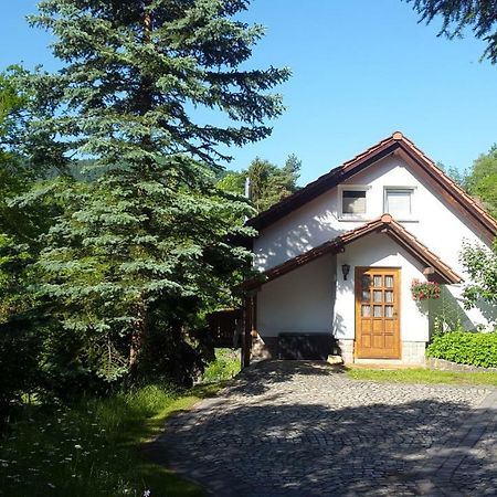 Ferienhaus "Am Schleifenbach" Saalfeld Saale Exteriör bild