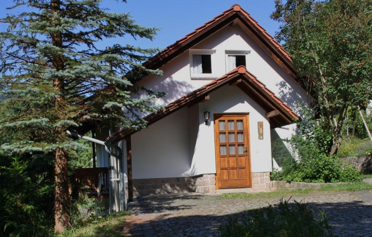 Ferienhaus "Am Schleifenbach" Saalfeld Saale Exteriör bild